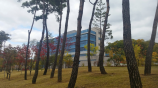 상세내용보기